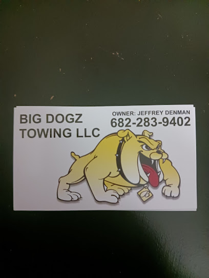 Big Dogz Towing LLC