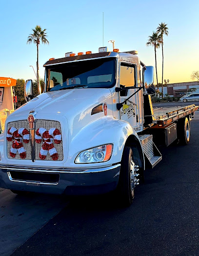 Professional Towing and Recovery LLC