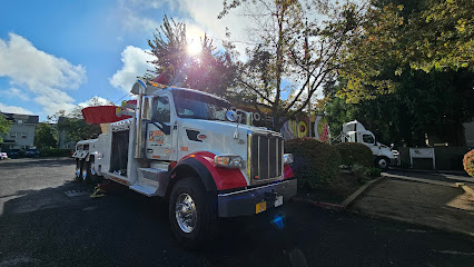 Puddle Jumper Towing, Light Duty-Heavy Duty Towing, Semi Tractor Trailer Towing & Off-road Recovery